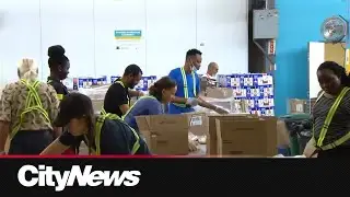 Food insecurity rose by nearly 40% since 2023 in Canada: report