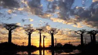 JC Delacruz - In Search Of The Tribal Rhythm 10: Roots | AFRIKA PERCUSSION