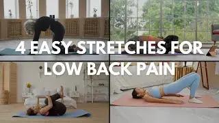 Relieve Back Pain with 4 Simple Stretches | Cat-Cow, Knee-to-Chest, Bridge & Child&rsquo;s Pose
