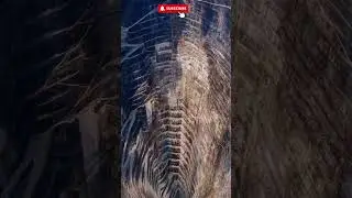 Worlds Deepest Gold Mine