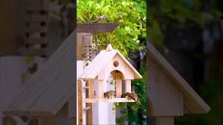 CREATE Your Own Bamboo Bird Feeder From Pallet Wood!