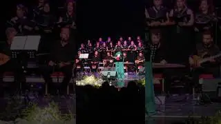 (BOZLAK) TUKENMEZ DAVAYİ BANA Mİ VERDİN 