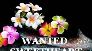 Wanted Sweetheart June 10 2015