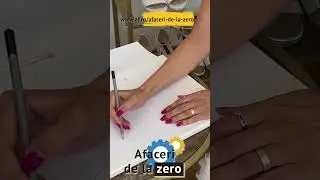 Afaceri de la Zero. CUM PRINDE VIAŢĂ O IDEE