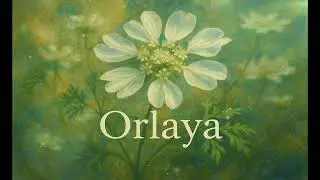 Orlaya【#T AIChannel】