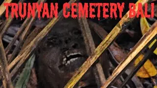 Trunyan - Dead Bodies Not Buried 💀 (german subbed) | Ancient Graveyard in Bali