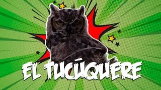 El tucúquere | Animales chilenos superasombrosos - T1E4