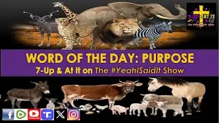WORD OF THE DAY: GENESIS 01:25 - PURPOSE