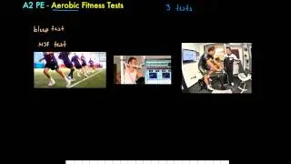 A2 PE - Aerobic Fitness Tests