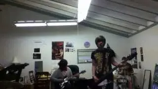 Trees Like Torches - All The Small Things (Cover)