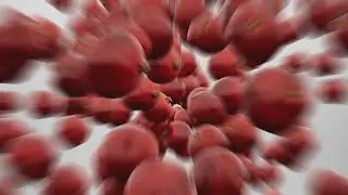 Pomegranate Explosion 4K 60fps - Alpha Channel for Overlays