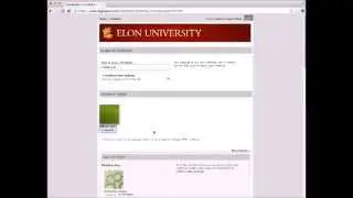 CSS In Digication: Adding Link Hover