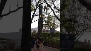Halloween Horror Nights HHN29 Update Universal Orlando