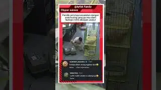 CEO dikerjain Anabul #reels #shorts #video #masukberanda #ceo #anabul #petshop