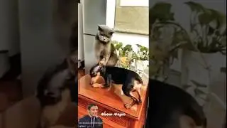 funny video part F😂😂😂(🙏please subscribe kro yaar) #funny #viral #shorts