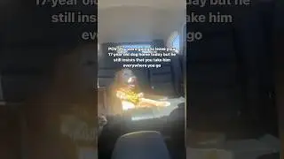 POV: you were going to leave your senior dog home&hellip;