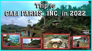 TRIP TO CALI FARMS, INC. IN 2022- PART 01 | Km10, Camp Susana, Lapaz, Zamboanga City, Philippines