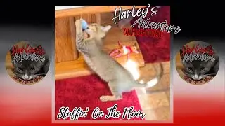 Stuffin' On The Floor Music Lyrics