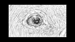 Animation sequence for 