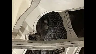 Animal caging episode 1