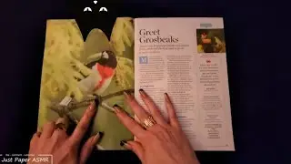 🌼 ASMR Basic Page Turning through Magazines - No Talking