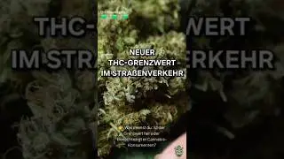 Neuer THC-Grenzwert im Stra&szlig;enverkehr #shorts #cannabisgesetz