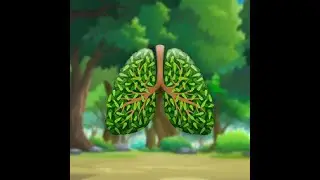 Forest | Ecosystem | Environment | Chemistry | Class7 | Chapter17