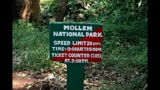 National Park Goa