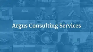 Argus Consulting