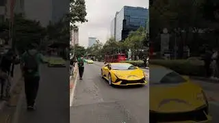 tr&aacute;fico de lujo  en cdmx