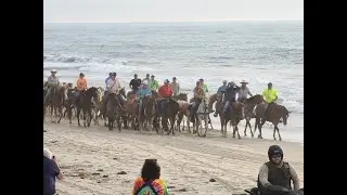 99th ANNUAL CHINCOTEAGUE PONY SWIM - Beach Walk - July 22, 2024