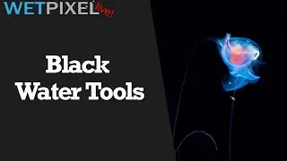 Tools for Black Water Underwater Photography