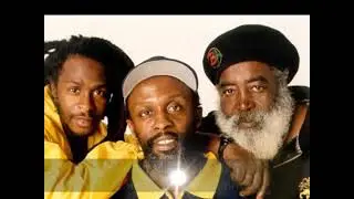 STEEL PULSE - YOUR HOUSE with lyrics