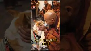 When Love Speaks in Silence 🐕💛 | Buddhist Monk & His Loyal Friend ❤️ #aloka #walkforpeace #love