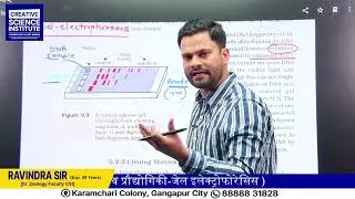 Gel Electrophoresis Explained for NEET | Biotechnology Made Easy🚀 #youtube #csi #neet #biology #csi