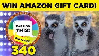 WIN Amazon Gift Card - Caption This & Spin to Win: Two Funny Animals # 340