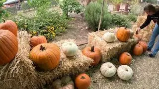 Heritage Park , La Verne, CA. Harvest Festival and Car Show. 4K