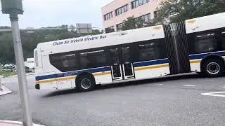 Bee-Line Bus 2008 ORION V Route 11 To CROTON EXPRESS #808 WHITE PLAINS BUS TERMINAL DAIMLER CHRYSLER