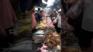 bustling market atmosphere@yantodbololo-ai