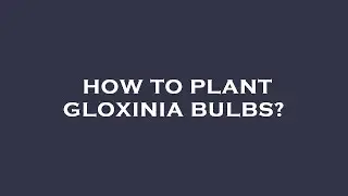 How to plant gloxinia bulbs?