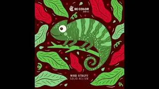 Niko (Italy) - Solid Helium (Original Mix)