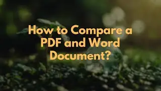 How to Compare a PDF and Word Document?