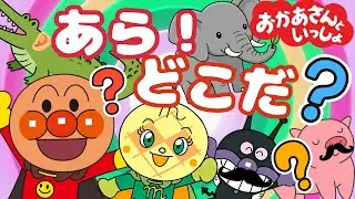 おかあさんといっしょ｜知育うた『あら！どこだ？』アンパンマン｜こどものうた｜動物のうた｜anpanman｜キラキラキッズランド🌈