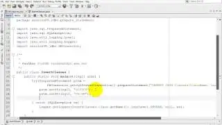 (java) execute SQL command using PrepareStatement