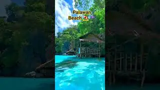 #beachlife #travel #paradisephilippines #beachincebu #beachincebu #explore #beach #cebu #vacation