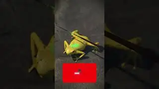 Hunters Used THIS Frog as a Weapon!? #wildhistory #dartfrog #facts