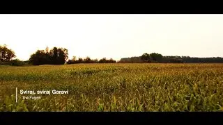 SVIRAJ, SVIRAJ GARAVI - THE FUSION (Official Music Video)