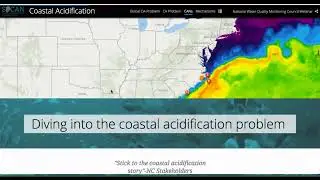 Coastal Acidification: moving from a global problem to a coastal water-quality issue