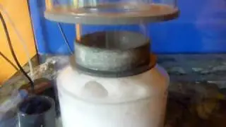 DIY Skimmer with Aquabee 2000/1 and needle wheel