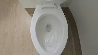 1980 American Standard Cadet toilet on a Flushometer 